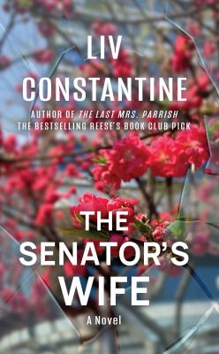 The senator's wife : a novel [large type] /