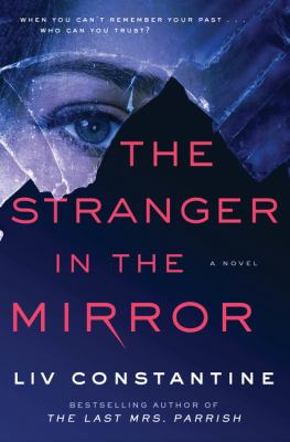 The stranger in the mirror : a novel /