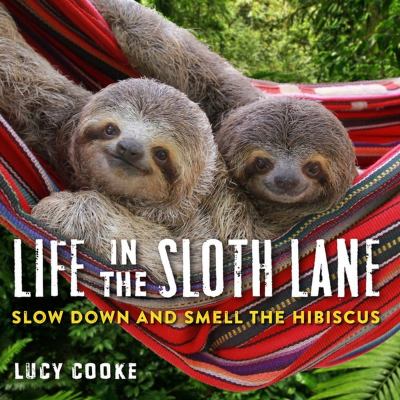 Life in the sloth lane /