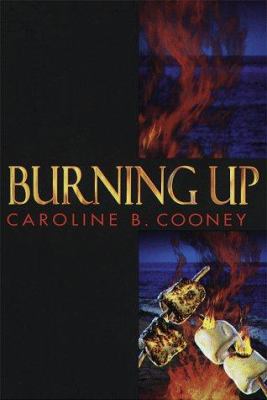 Burning up : a novel /