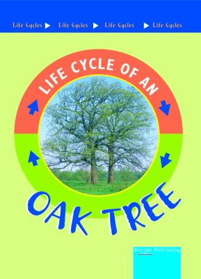 Oak tree /