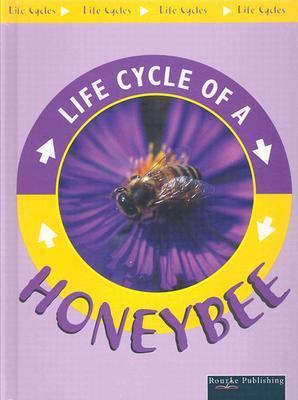 Honeybee /