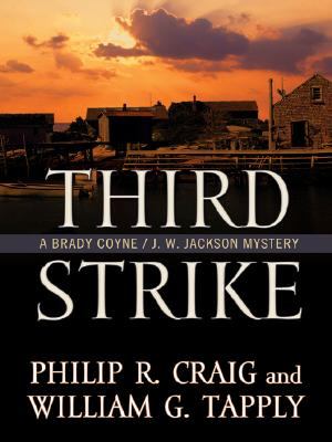 Third strike : [large type] : a Brady Coyne/J.W. Jackson mystery /