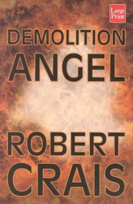 Demolition angel [large type] /
