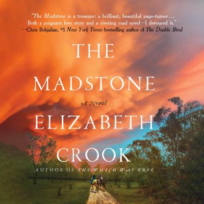 The madstone [eaudiobook] : A novel.