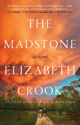 The madstone [ebook] : A novel.