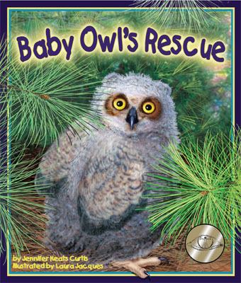 Baby owl's rescue /
