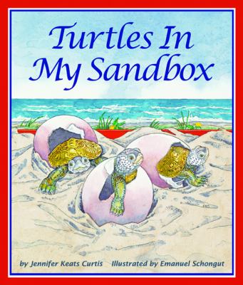 Turtles in my sandbox /