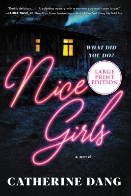 Nice girls [large type] : a novel /