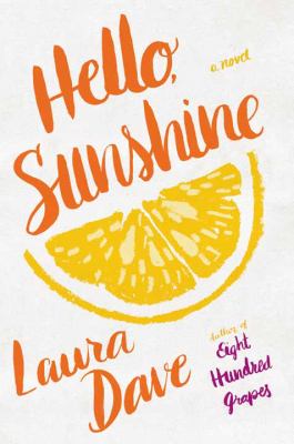 Hello, Sunshine [large type] : a novel /