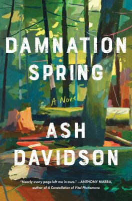 Damnation spring : a novel /