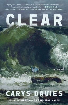 Clear : a novel /
