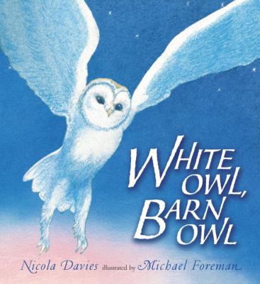White owl, barn owl /