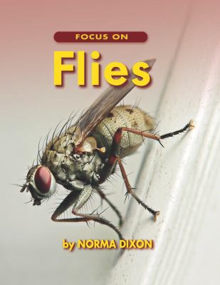 Focus on flies /