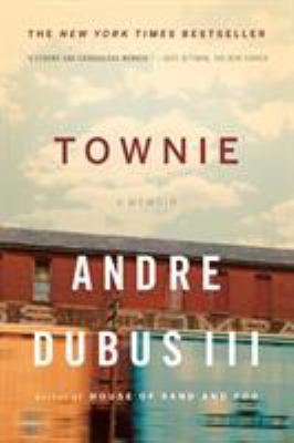 Townie : a memoir /