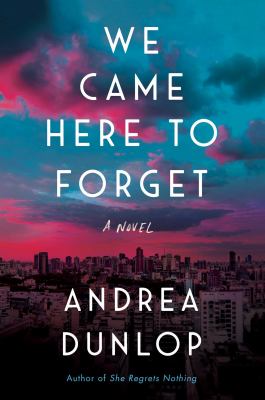 We came here to forget : a novel /