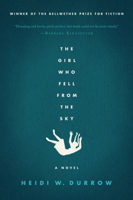 The girl who fell from the sky : a novel /