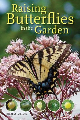 Raising butterflies in the garden /