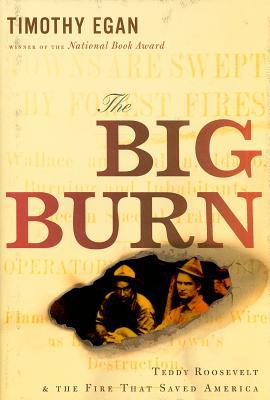 The big burn : Teddy Roosevelt and the fire that saved America /