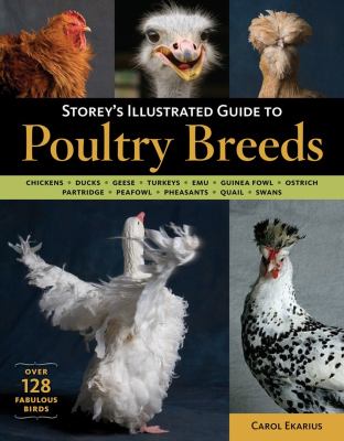 Storey's illustrated guide to poultry breeds : chickens, ducks, geese, turkeys, emus, guinea fowl, ostriches, partridges, peafowl, pheasants, qualis, swans /