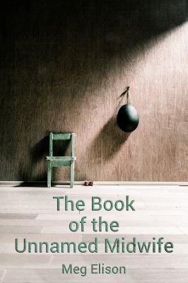 The book of the unnamed midwife /