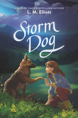 Storm dog /