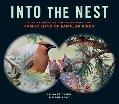 Into the nest : intimate views of the courting, parenting, and family lives of familiar birds /