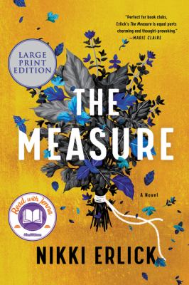 The measure [large type] : a novel /