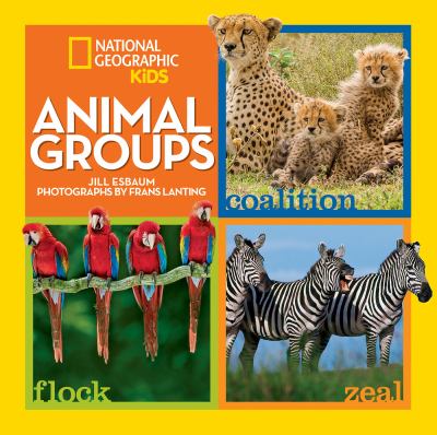 Animal groups /