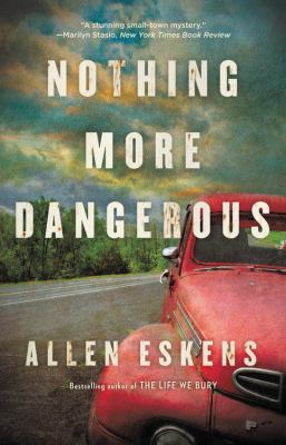 Nothing more dangerous : a novel /