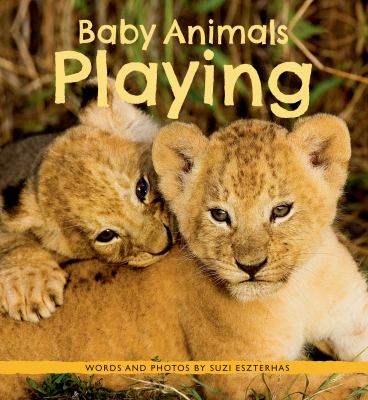 Baby animals playing /