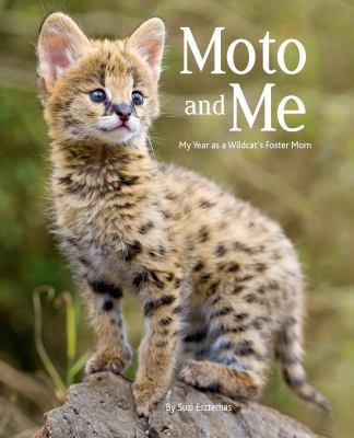 Moto and me : my year as a wildcat's foster mom /