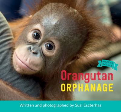 Orangutan orphanage /