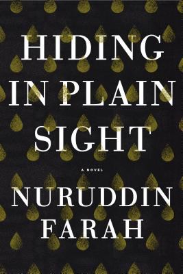 Hiding in plain sight : a novel /