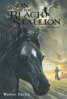 Son of the black stallion /