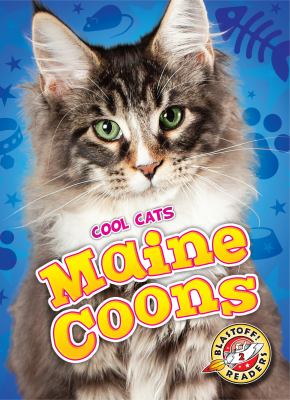 Maine coons /