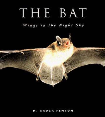 The bat : wings in the night sky /