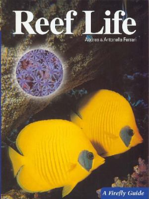 Reef life /
