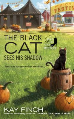 The black cat sees his shadow /