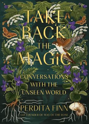Take back the magic : conversations with the unseen world /