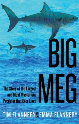 Big meg : the story of the largest and most mysterious predator that ever lived /