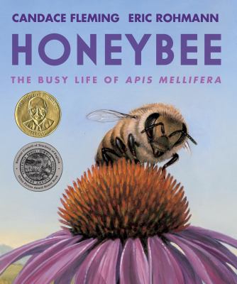 Honeybee : the busy life of Apis mellifera /