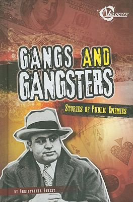 Gangs and gangsters : stories of public enemies /
