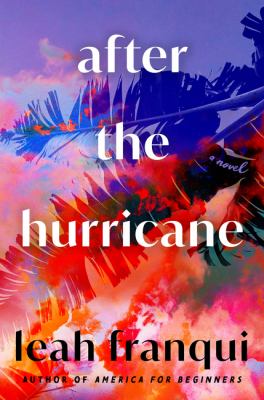 After the hurricane : a novel /