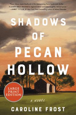 Shadows of Pecan Hollow : [large type] a novel /