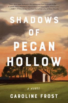 Shadows of Pecan Hollow : a novel /