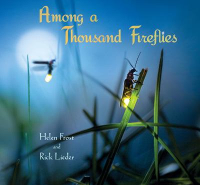 Among a thousand fireflies /