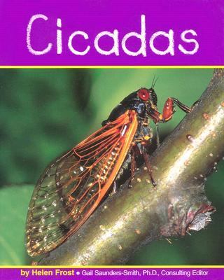 Cicadas /