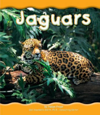Jaguars /