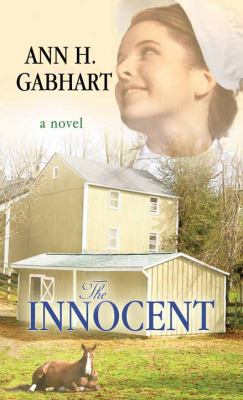 The innocent [large type] : a novel /